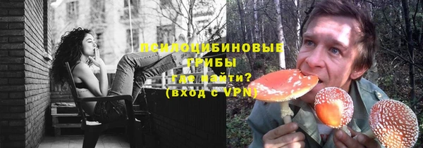 первитин Богородицк